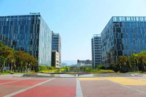 丽水高技术特色小镇 电子专用设备销售的崛起之路